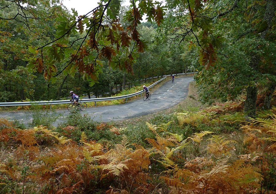 Rampas de Sancho Leza