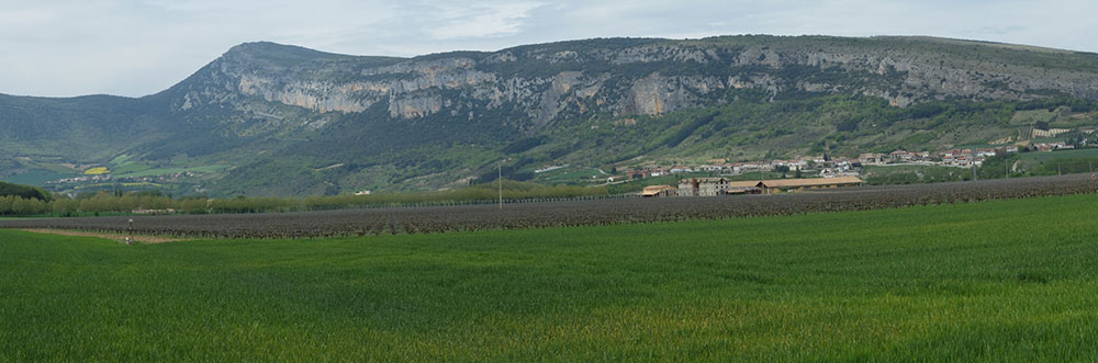 Fuentes del Vino_Bodegas Otazu