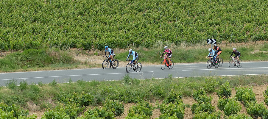 Pasafotos Fuentes del Vino 02